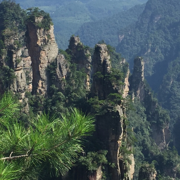 Meet your Posher, Anou. - Picture 8 of 8